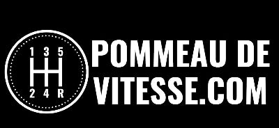 Pommeau de vitesse