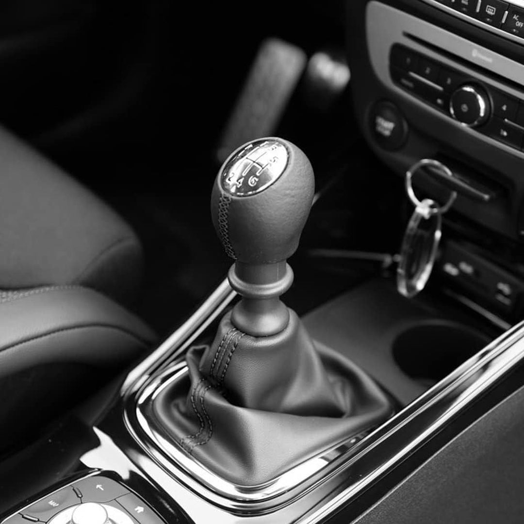 Pommeau de vitesse Dacia