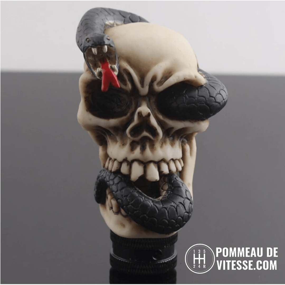 Pommeau de vitesse tête de mort V3 vu de face, serpent noir enroulé autour du crâne, gueule ouverte et langue rouge