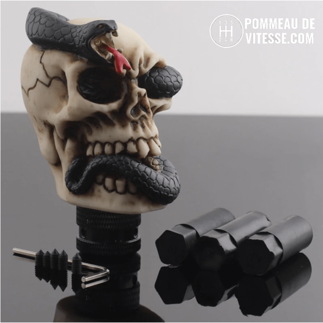 Pommeau de vitesse tête de mort V3 de trois quarts, corps écailleux du serpent passant dans l'orbite, avec adaptateurs et clé Allen