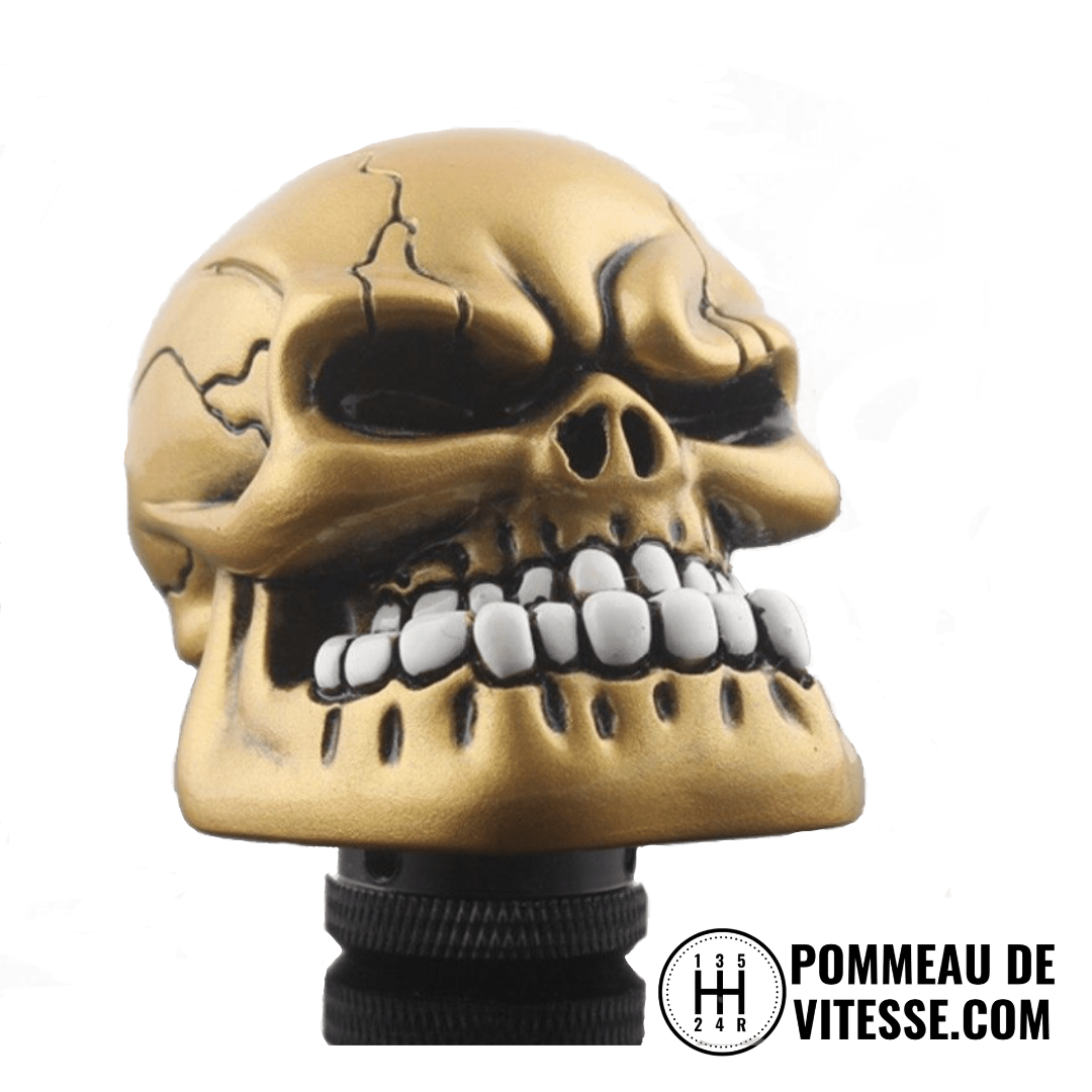 Pommeau de vitesse tête de mort V6 doré, vue de profil sur son adaptateur fileté noir